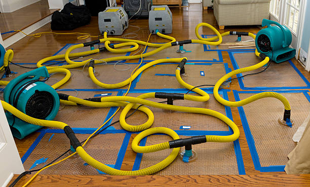 Professional Flood Damage Restoration technician working in Hampton, TN